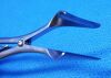 AESCULAP OK061R Speculum