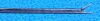 RICHARDS 13-0003 Forceps