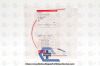 COOK G23415 | | IN-DATE | EACHES | Universa Firm Ureteral Stent & Positioner: 7F x 24cm