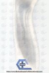INTEGRA 200-175 INTEGRA | 200-175 | NO-DATE | EACHES | Harrington Retractors 12½" Stainless Steel 1¾" Wide Surgical