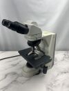 NIKON Eclipse 50i Microscope