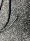 OLYMPUS GIF-HQ190 Gastroscope
