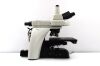 NIKON Ni-E Microscope