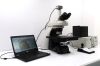 NIKON Ni-E Microscope