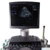 ACUSON 4V1c Ultrasound Transducer