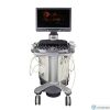 ACUSON Siemens  S3000 HELX Ultrasound System  4 Probes