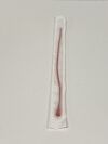 BARD Lot of 12 Urethral Catheter  056110 Exp.2027-06  (Y67) Urethral Catheter