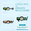 VARIOUS  Oxygen Regulators