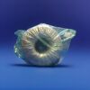 PHILIPS Bipap Vision Transformer Assembly for Bi-level PAP