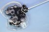 REICHERT 11625B Phoroptors / Refractors
