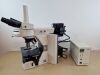 NIKON microscope Microscope