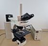 NIKON microscope Microscope