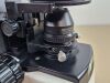 NIKON microscope Microscope