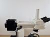 NIKON microscope Microscope