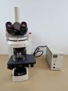 NIKON microscope Microscope
