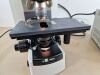 NIKON microscope Microscope