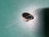 GE B20 B20 Patient Monitor Knob Monitor