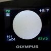 OLYMPUS MAF-TM Endoscope