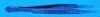 STORZ E-1181 Forceps