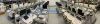 GE Voluson E8 Ultrasound Machine