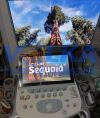ACUSON/SIEMENS 9VE4 Ultrasound Transducer