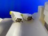 SIEMENS MAGNETOM Avanto / Espree MRI Coil