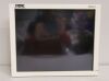 KARL STORZ 200903 37 Endoscopy Monitor - Karl Storz