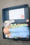 LAERDAL Resusci Training Aids