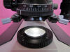 OLYMPUS Compound Laboratory Microscope Microscope