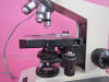 OLYMPUS Compound Laboratory Microscope Microscope