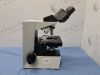 OLYMPUS CH30 Microscope