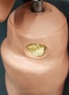 SIMULAIDS  MANNEQUIN SIMULATOR