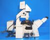 ZEISS Axiovert 200M Microscope