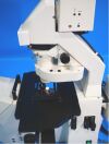 ZEISS Axiovert 200M Microscope