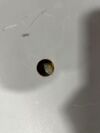 IEC Centra MP4R Cell Washer