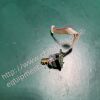 COMEN  E162061 C26 Fetal Monitor Encoder E162061 Fetal Monitor
