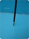 INTUITIVE 428057 DaVinci Si 5mm Curved Scissors