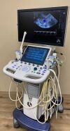 GE Logiq P9 Ultrasound - Shared Service