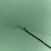 OLYMPUS URF Type P3 Ureteroscope