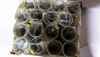 ABBOTT Receptal 43445 31-1019  Receptal Canister | Lot of 16