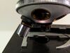 OLYMPUS CH-2 CHT Microscope
