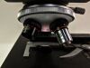 OLYMPUS CH-2 CHT Microscope