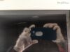 PHILIPS MP70 M8007A Monitor