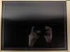 PHILIPS MP70 M8007A Monitor