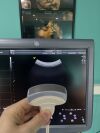 GE C1-5-D Ultrasound Transducer