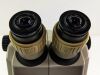 NIKON SMZ-1 Microscope