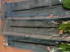INTUITIVE Da Vinci Si Crocodile Grasper 5MM 428059 Si Crocodile Grasper 5MM 428059 | Lot of 3