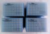 200ul Certified RNASE / DNASE & Pyrogen Safe 200ul Certified RNASE / DNASE Universal Filter Pipette Tips | 8 Packs of 96 each