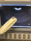 SONOSITE C11 Ultrasound Transducer