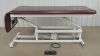 ARMEDICA AM-200 Hi-Lo Two Section Treatment Table W/ Footswitch - 200320 Exam Table